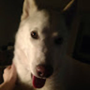 Meet your Posher, Layla